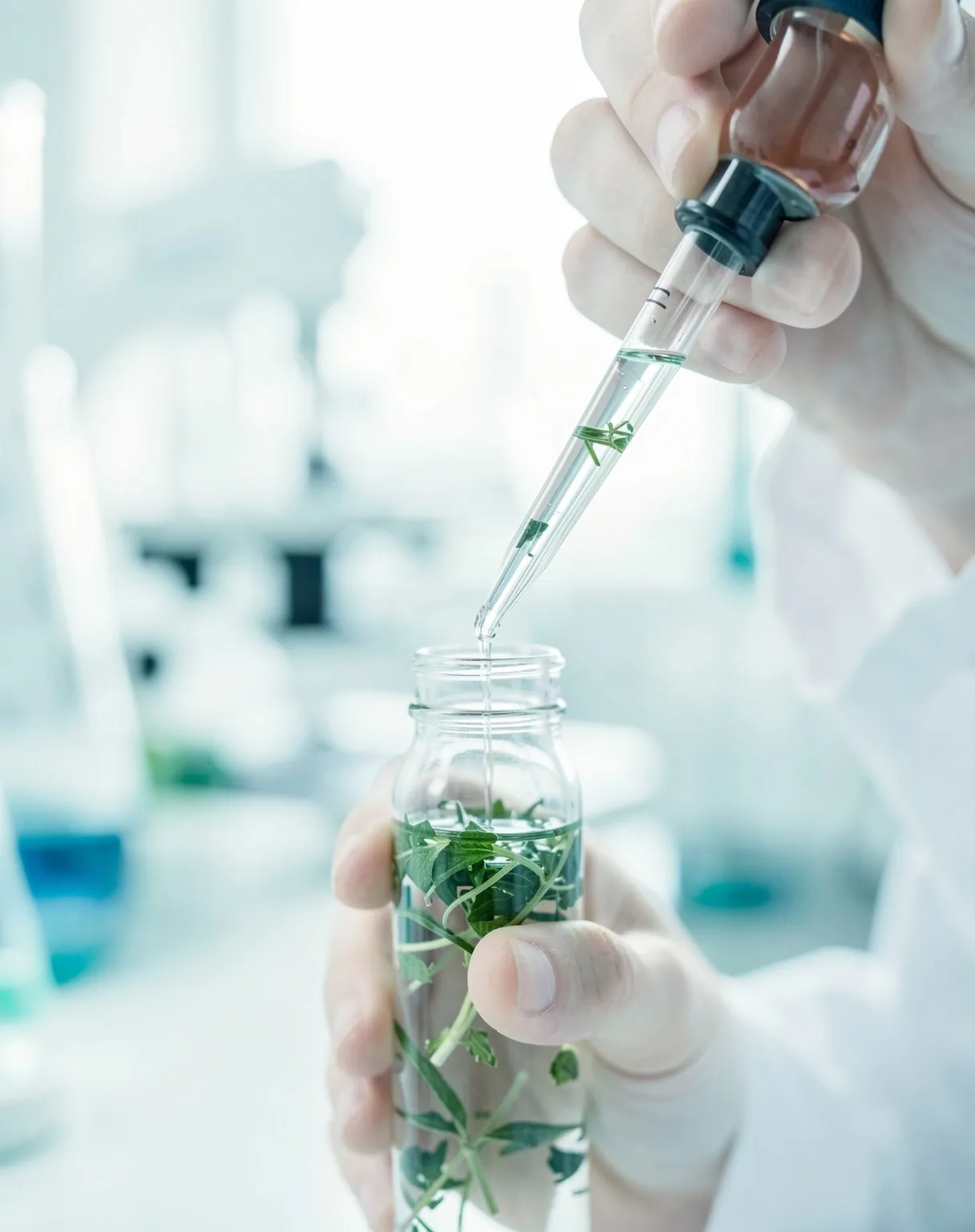 Détail biologique illustrant la précision et la vitalité